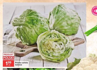 Carrefour Market Polska sałata lodowa oferta