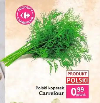 Carrefour Market Polski koperek oferta