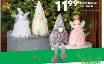Biedronka Renifer oferta