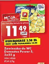 Biedronka Kostka do wc lime domestos power5 oferta