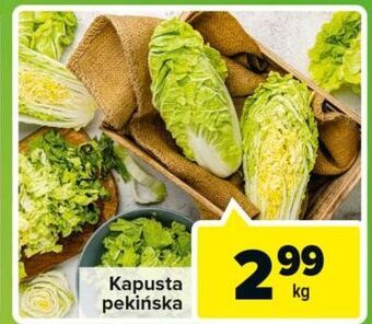 Carrefour Market Kapusta pekińska oferta