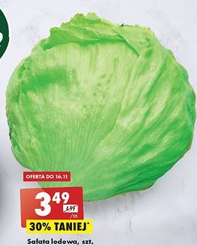 Biedronka Sałata lodowa oferta