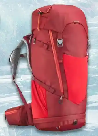 Decathlon Plecak turystyczny quechua oferta