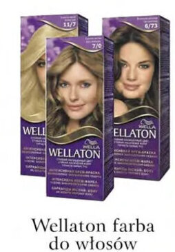 ADEKS P&G wellaton farba do włosów oferta