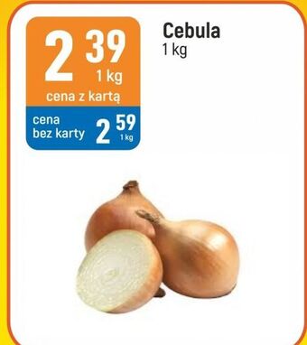 E.Leclerc Cebula żółta oferta