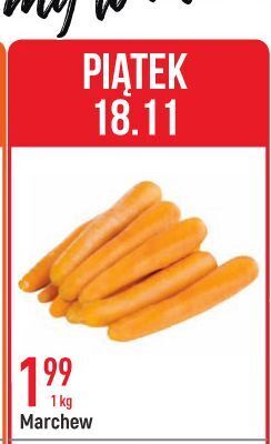 E.Leclerc Marchew oferta