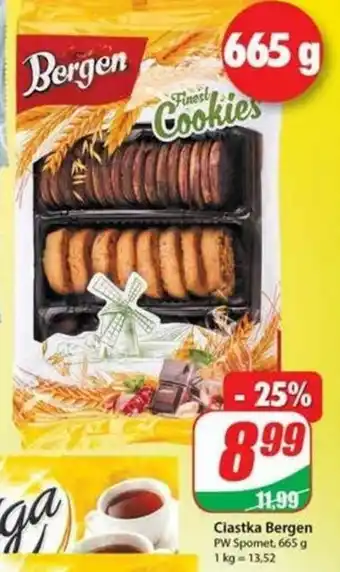 Dino Ciastka Bergen 665g oferta