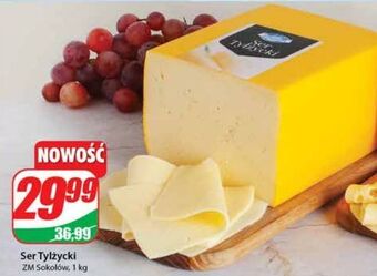 Dino Ser tylżycki zm sokołów oferta
