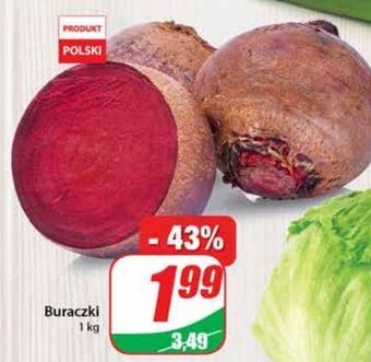 Dino Buraki oferta