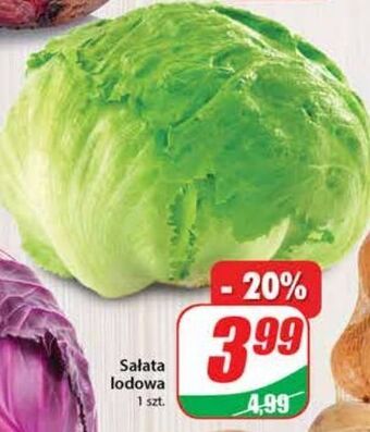 Dino Sałata lodowa oferta