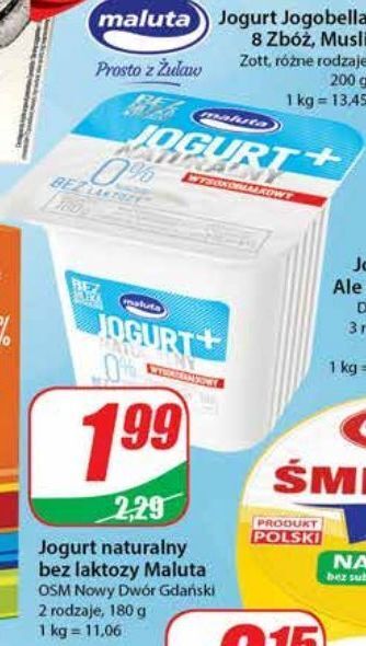 Dino Jogurt naturalny pełnomleczny bez laktozy maluta oferta