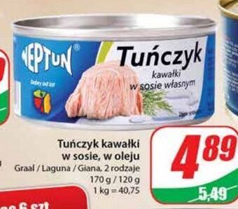 Dino Tuńczyk w sosie własnym neptun oferta