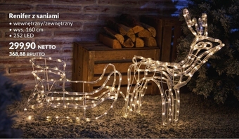 Makro Renifer oferta