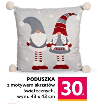 Dealz Poduszka oferta