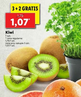 Lidl Kiwi oferta
