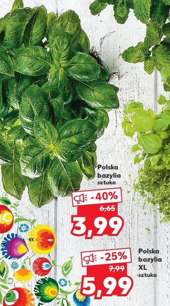 Kaufland Bazylia xl oferta