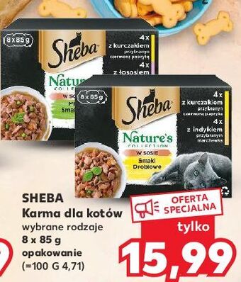 Kaufland Karma dla kota smaki drobiowe sheba nature's collection oferta