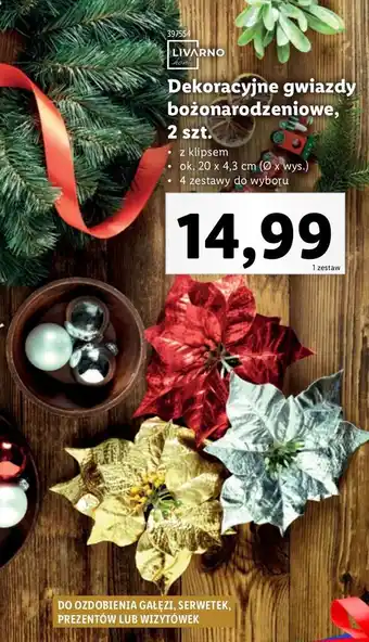 Lidl Gwiazdy dekoracyjne livarno home oferta