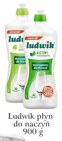 ADEKS grupa inco ludwik płyn do naczyń 900g oferta