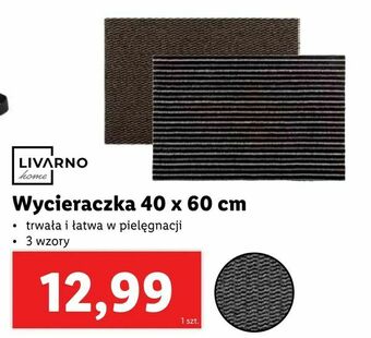 Wycieraczka 40 x 60 cm