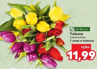 Tulipany 35 cm