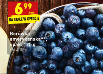 Biedronka Borówka amerykańska opak. 125 g oferta