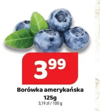 Delfin borówka amerykańska 125g oferta