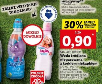 Lidl Woda niegazowana saguaro hero oferta