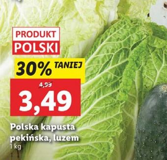 Lidl Kapusta pekińska oferta