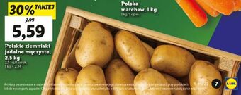 Lidl Ziemniaki mączyste oferta