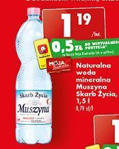 Biedronka Woda lekko gazowana muszyna skarb życia oferta