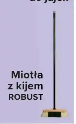Carrefour Miotła z kijem oferta