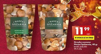 Biedronka Borowiki suszone nasza spiżarnia oferta