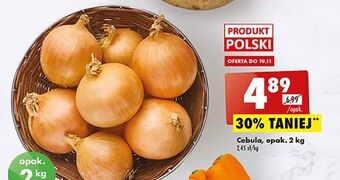 Biedronka Cebula oferta