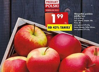 Biedronka Jabłka pinova oferta