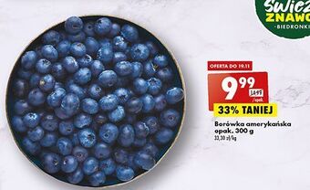 Biedronka Borówki amerykańskie oferta