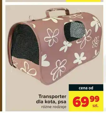 Carrefour Transporter dla kota, psa oferta