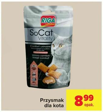 Carrefour Przysmak dla kota oferta