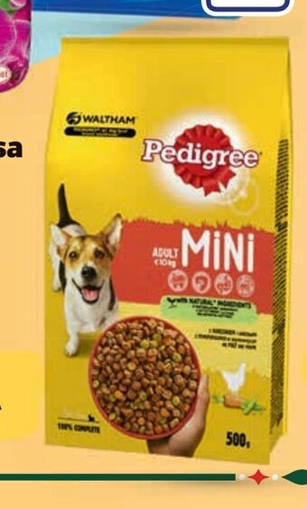 Netto Karma sucha dla psa pedigree oferta