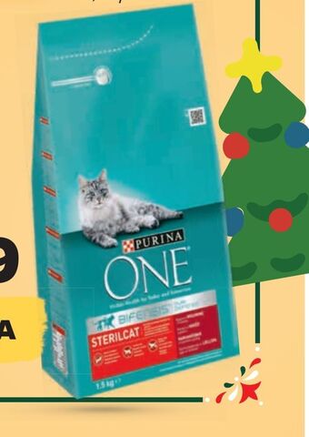 Netto Karma dla kota purina one oferta