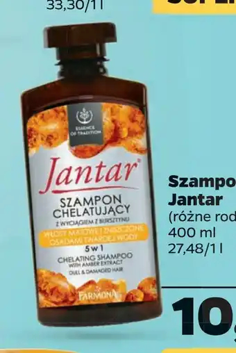 Netto Szampon jantar oferta