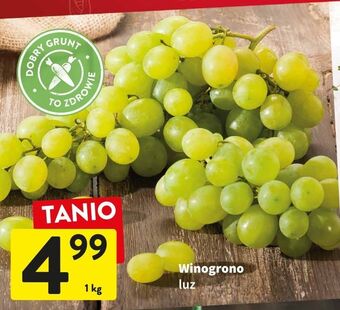 Intermarche Winogrona białe oferta