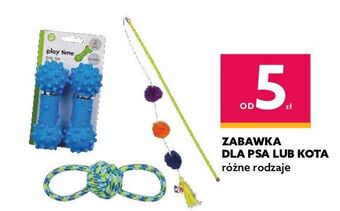 Dealz Zabawka dla kota oferta