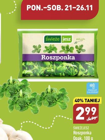 ALDI Roszponka świeże jesz oferta