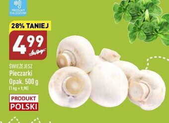 ALDI Pieczarki świeże jesz oferta