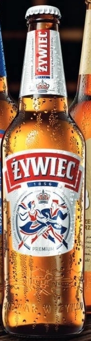 Lewiatan Żywiec piwo jasne 500 ml oferta