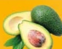 Chata Polska Awokado oferta