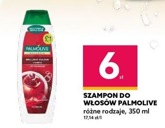 Dealz Szampon do włosów brilliant color palmolive naturals oferta