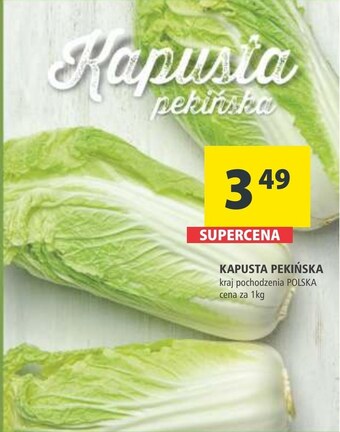 Arhelan Kapusta pekińska oferta