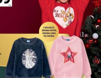 Lidl Bluza dziewczęca oferta